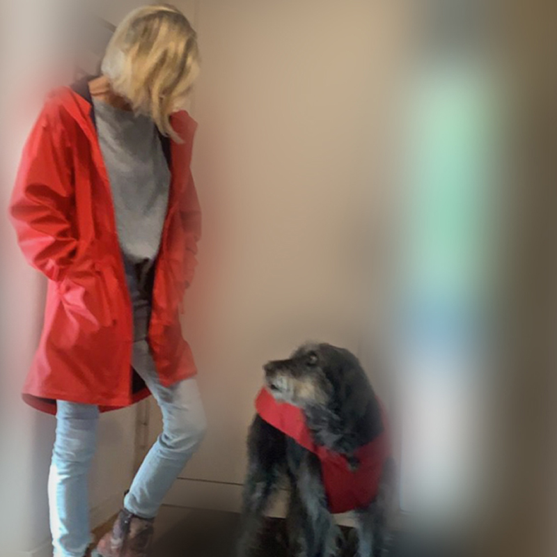 Be just Dog mobile Hundeschule Problemhundetraining